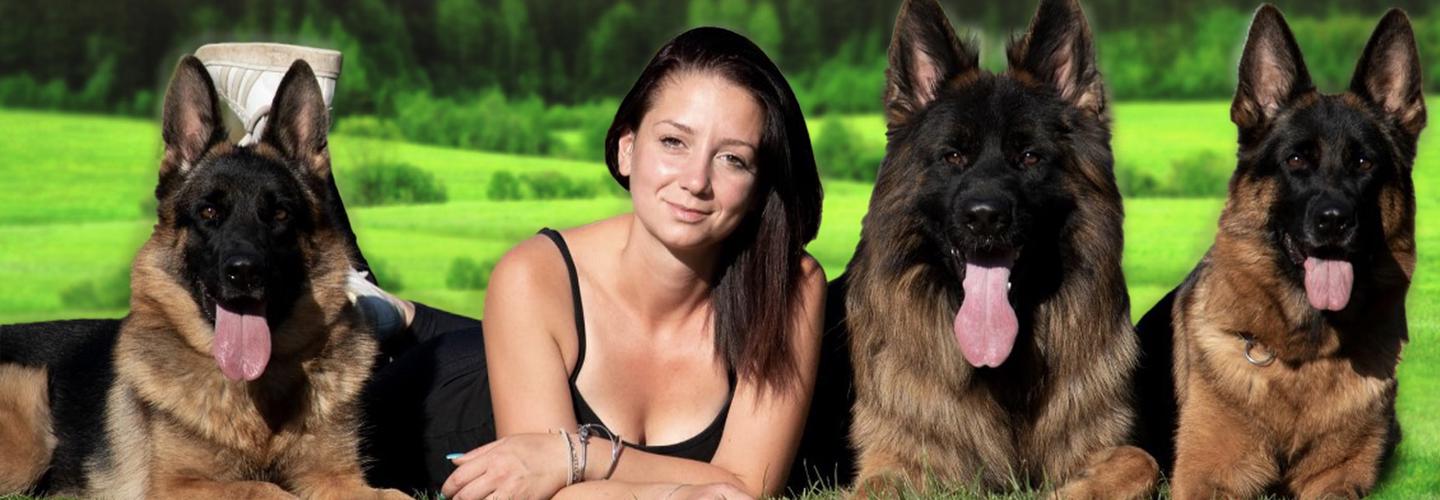 Arialand cover photo