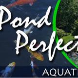 Pond Perfecter - Professional Services in Phoenix