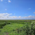 Bay View Holiday Park - photo 5