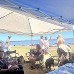 Prestige Statewide, LLC - photo 3