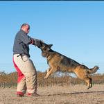 Tus Abogados de Accidentes de Trabajo Laboral Personal InjuryLawyers - photo 10