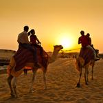 michaelwilliam - photo 3