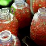 Gel Blaster Battles - photo 3