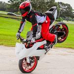 Moramoto of Zephyrhills - photo 1