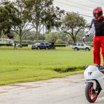 Moramoto of Zephyrhills - photo 3