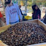 Livingston's Bulls Bay Seafood - photo 1