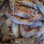 Livingston's Bulls Bay Seafood - photo 2