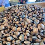 Livingston's Bulls Bay Seafood - photo 3