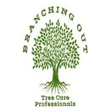 Branching Out Tree Care Professionals - Tree Services in Port Orange