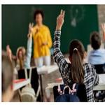 sohag seo export  - photo 1