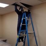 Menchy Cleaning & Restoration Inc. - photo 6