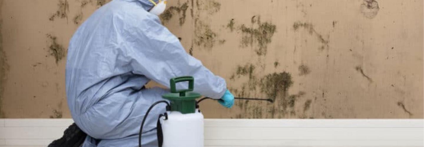 Mould Experts Adelaide cover photo