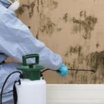 Mould Experts Adelaide - photo 1