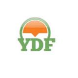 YDF Machinery  - Business Financial Consultants in Binzhou
