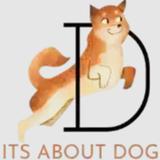itsaboutdog