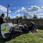 Rapid Tree Care - photo 3