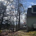 United Tree Care LLC - photo 3