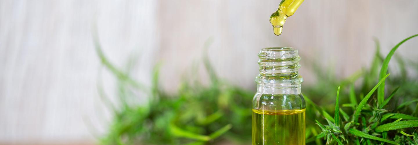 Mother Holistic cover photo