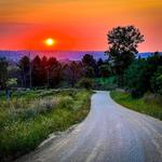 Royal Travel Agency - photo 4