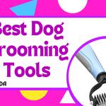 DOGSADA.COM - photo 1