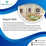 Web Cures Digital Gym SEO Colorado Springs - photo 2