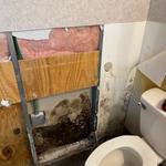 RDU Restoration - Fire, Smoke, Mold, and Water Damage Restoration - photo 4