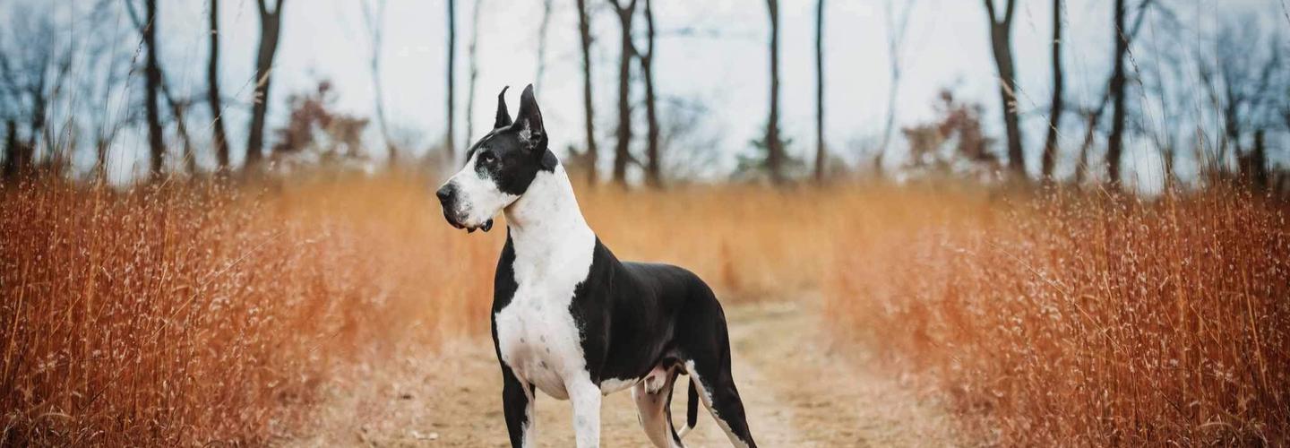 Rock Solid Crates LLC cover photo