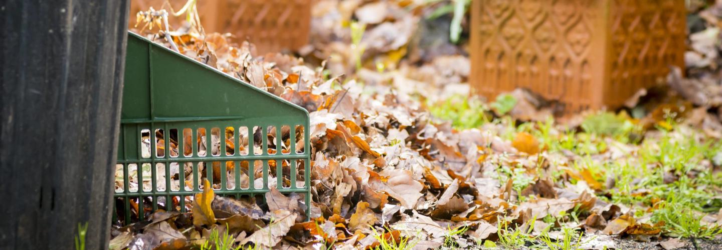 Your Rubbish Removed cover photo