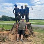 Greenbrier Tree Experts - photo 2