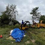 Greenbrier Tree Experts - photo 5