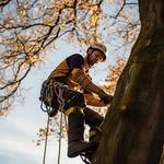 Fantastic Services - photo 2