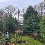 The Tree Wishes LTD - photo 2