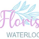 Florist Waterloo - Flowers & Gifts