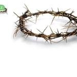 MyFaith.Shop - photo 4