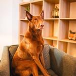 Jeffers Psychology | Gold Coast Psychologist - photo 2