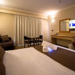 Hamilton's Queanbeyan Motel - photo 7