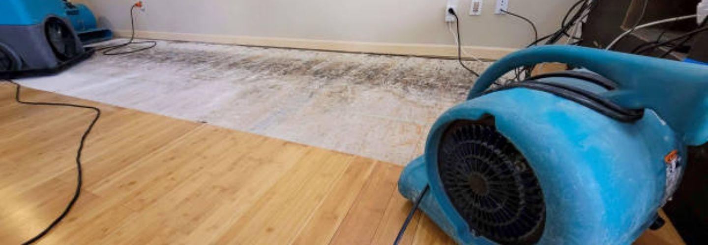 SERVPRO of Englewood, Placida cover photo