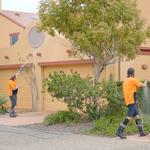 Wally's Master Blaster - photo 4