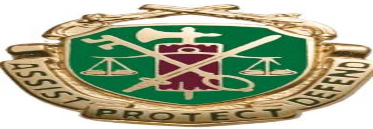 Saunders Military Insignia cover photo