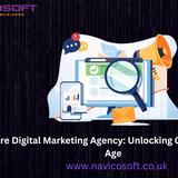 Navicosoft - Business Financial Consultants in London