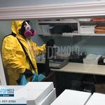FDP Mold Remediation of Bowie - photo 2
