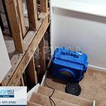 FDP Mold Remediation of Bowie - photo 7