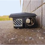 NVIRO Pest Control - photo 2