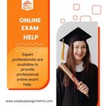 Professionals Online Exam Help - photo 1