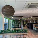 Vanguard Contracts - photo 5