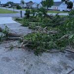 Little Red Tractor LLC - photo 1