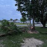 Little Red Tractor LLC - photo 2