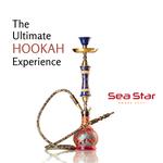 Sea Star Smoke Shop - photo 5