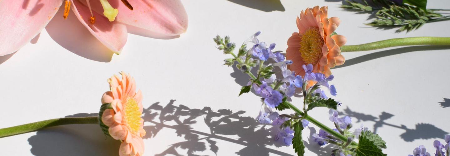 RoseBud Woman cover photo