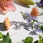 RoseBud Woman - photo 4